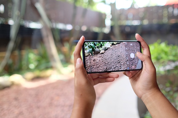 Tips Simple Fotografi Menggunakan HP Vivo